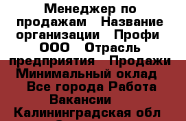 Менеджер по продажам › Название организации ­ Профи, ООО › Отрасль предприятия ­ Продажи › Минимальный оклад ­ 1 - Все города Работа » Вакансии   . Калининградская обл.,Советск г.